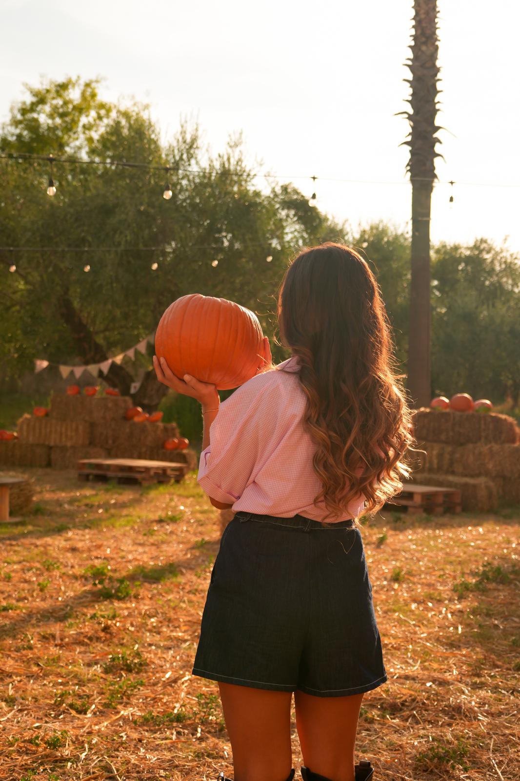 Una bambina di spalle con la zucca in braccio, in mezzo al campo al tramonto